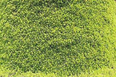 《箱庭牧场绵羊村》Steam页面上线 4月28日发售